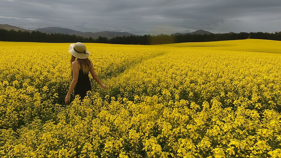 photo of woman wearing brown sleeveless dress near yellow flowers HD wallpaper