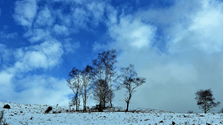 nature, winter, landscape, tree, season, snow, sky, mountain HD wallpaper