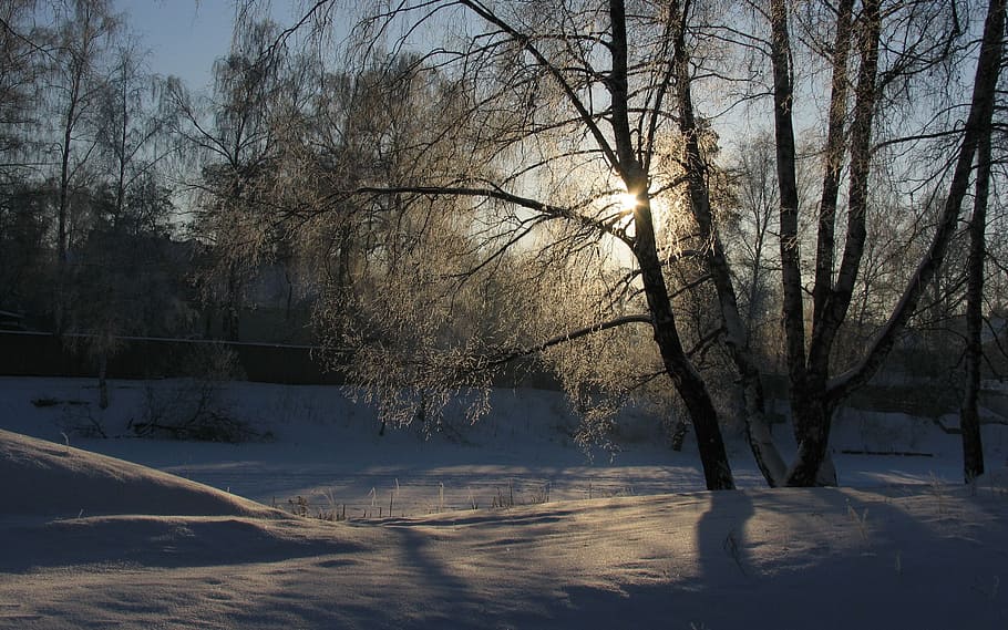 winter, snow, sun, sunset, landscape, cold, nature, winter landscape HD wallpaper