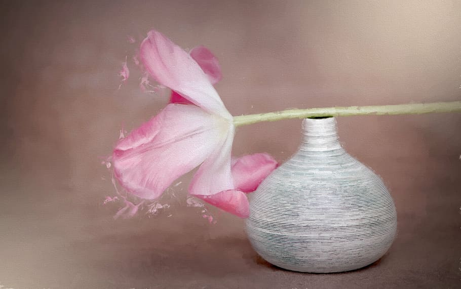pink and white petaled flowers on gray vase, image, painting HD wallpaper