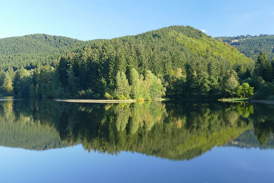 panorama, söse dam, forest, water, lake, germany, lower saxony HD wallpaper