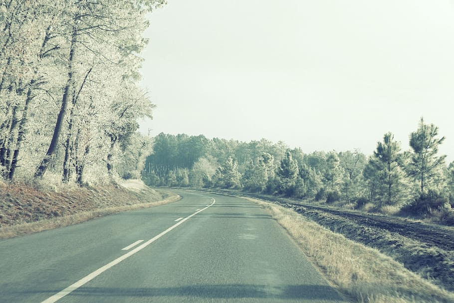 road surrounded by trees, pavement, highway, rural, country HD wallpaper