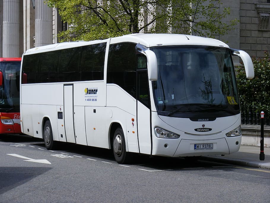 white bus park beside tree during daytime, transport, poland HD wallpaper