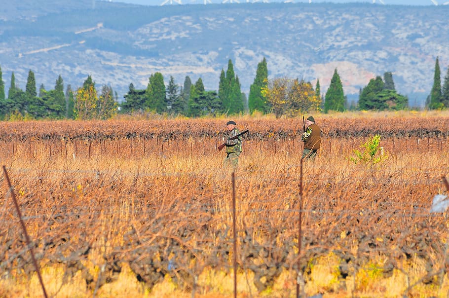 hunting, game, vine, fall, hunters, watch, lookout, scenics - nature HD wallpaper
