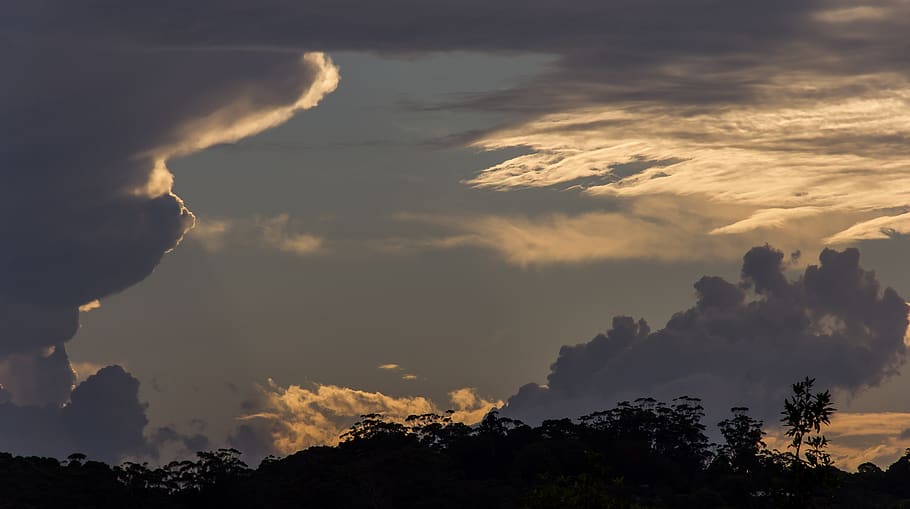 sky, clouds, sunset, light, grey, blue, white, horizon, trees HD wallpaper