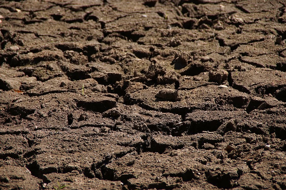 drought, dry, nature, dehydrated, cracked, landscape, earth HD wallpaper