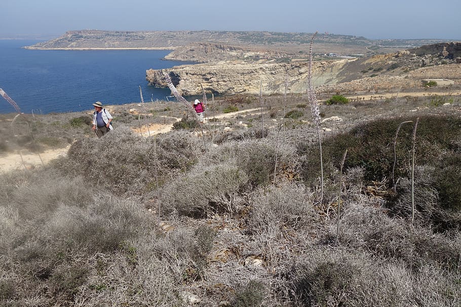 malta, side, mediterranean, sea, nature, mountain, people, group of people HD wallpaper