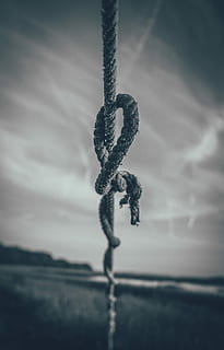 grayscale photo of rope, grayscale rope photography, black and white HD wallpaper