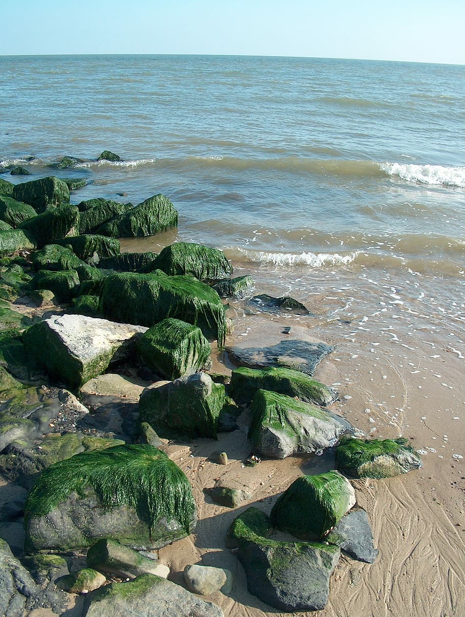 Coast, Stones, Sand, Water, Waves, sea, beach, horizon over water HD wallpaper
