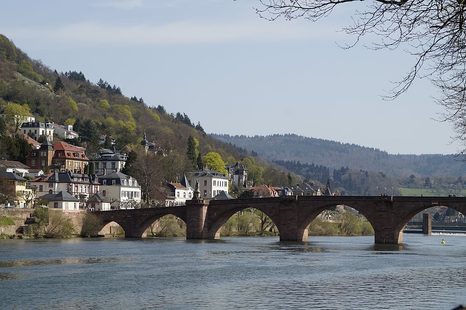waters, bridge, architecture, travel, river, neckar, heidelberg