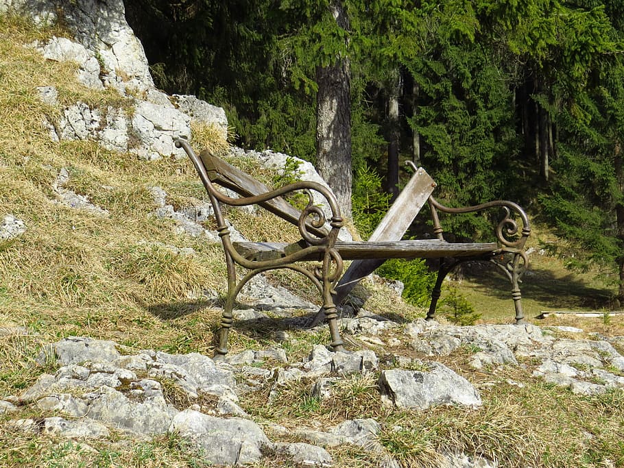 Forest, Bank, Bench, Old, Nostalgia, nature, garden, no people HD wallpaper