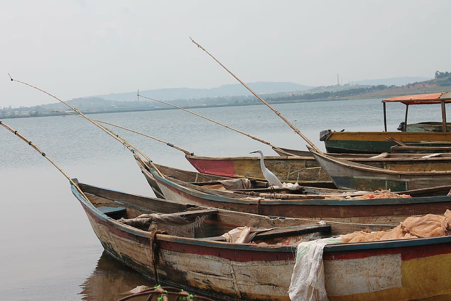 fishing, lake, victoria, water, nautical vessel, transportation HD wallpaper