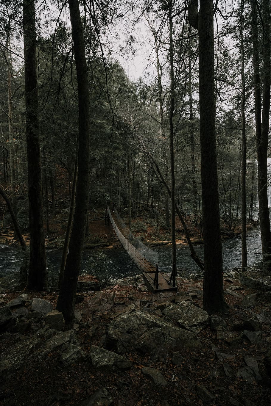 hanging bridge, brown footbridge above river surrounded by trees HD wallpaper