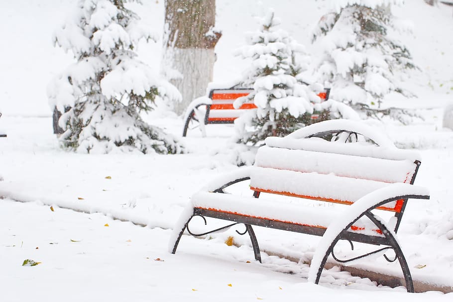 snow, winter, cold, frost, season, snowfall, snowstorm, park HD wallpaper