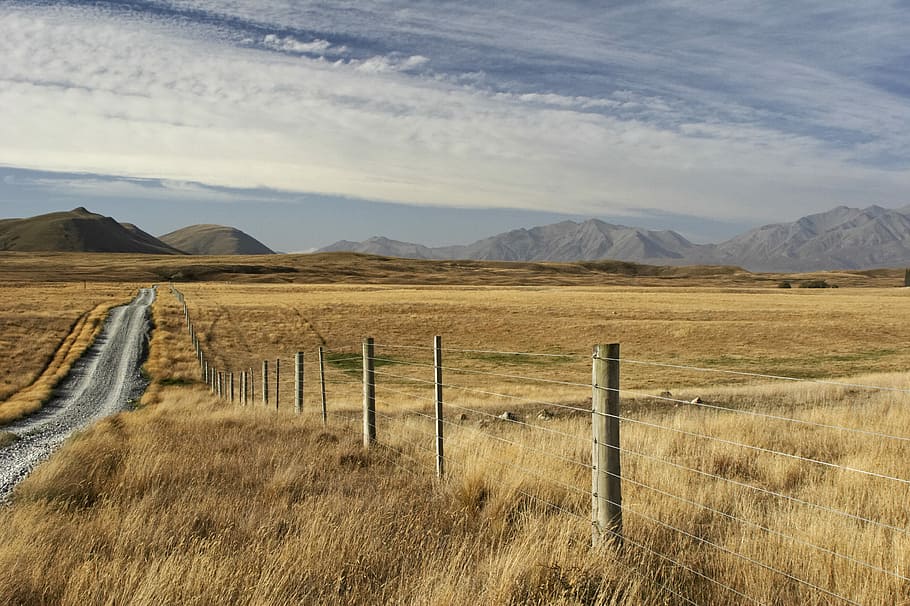 gray steel fence on brown grass field, rail on field under white sky HD wallpaper
