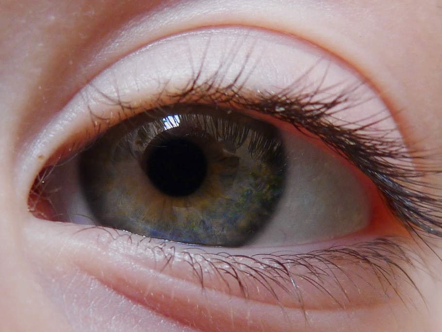 Eye, Green, Iris, Pupil, human eye, eyelash, human body part HD wallpaper
