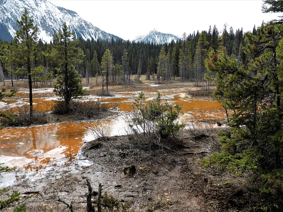 nature, landscape, mud, brown, dye, minerals, national park HD wallpaper