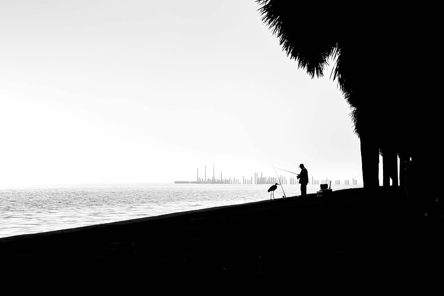 silhouette of person standing beside beach, silhouette of man fishing HD wallpaper