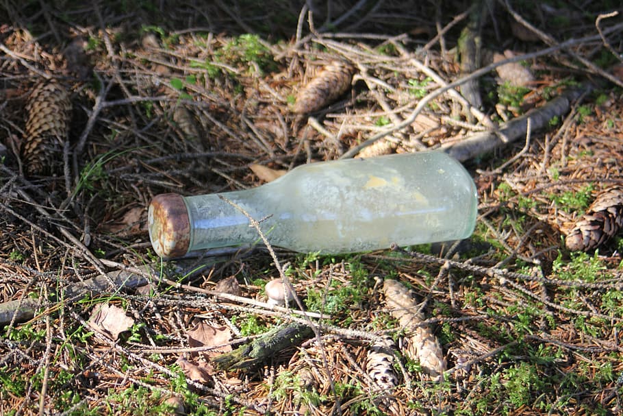 bottle, debris, nature, glass, land, no people, plant, day HD wallpaper