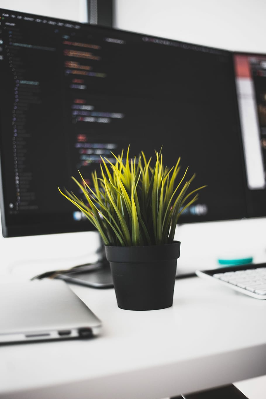 green leafed plant in pot, green grass in black flower pot centerpiece in front flat screen computer monitor on desk HD wallpaper