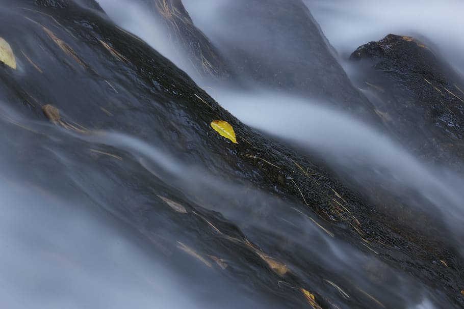water, flow, fresh, cold, leaf, autumn, flowing, nature, motion HD wallpaper