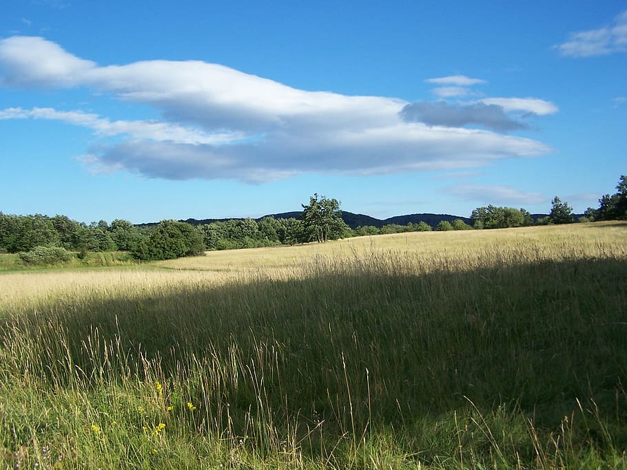 visegrád, sky, blue, landscape, plant, field, grass, environment HD wallpaper