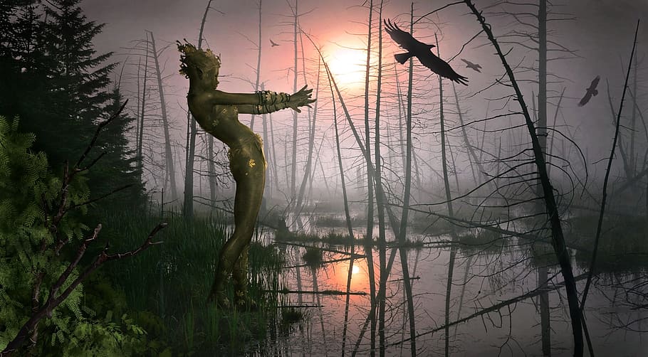 green woman on a swamp during foggy day with girds in the sky HD wallpaper