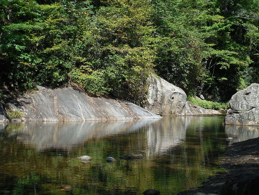 hike, river, hiking, nature, water, forest, outdoor, stream HD wallpaper