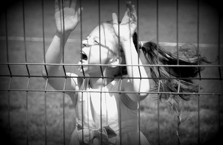 dom, girl, grateful, cage, trapped, one animal, vignette, emotion HD wallpaper
