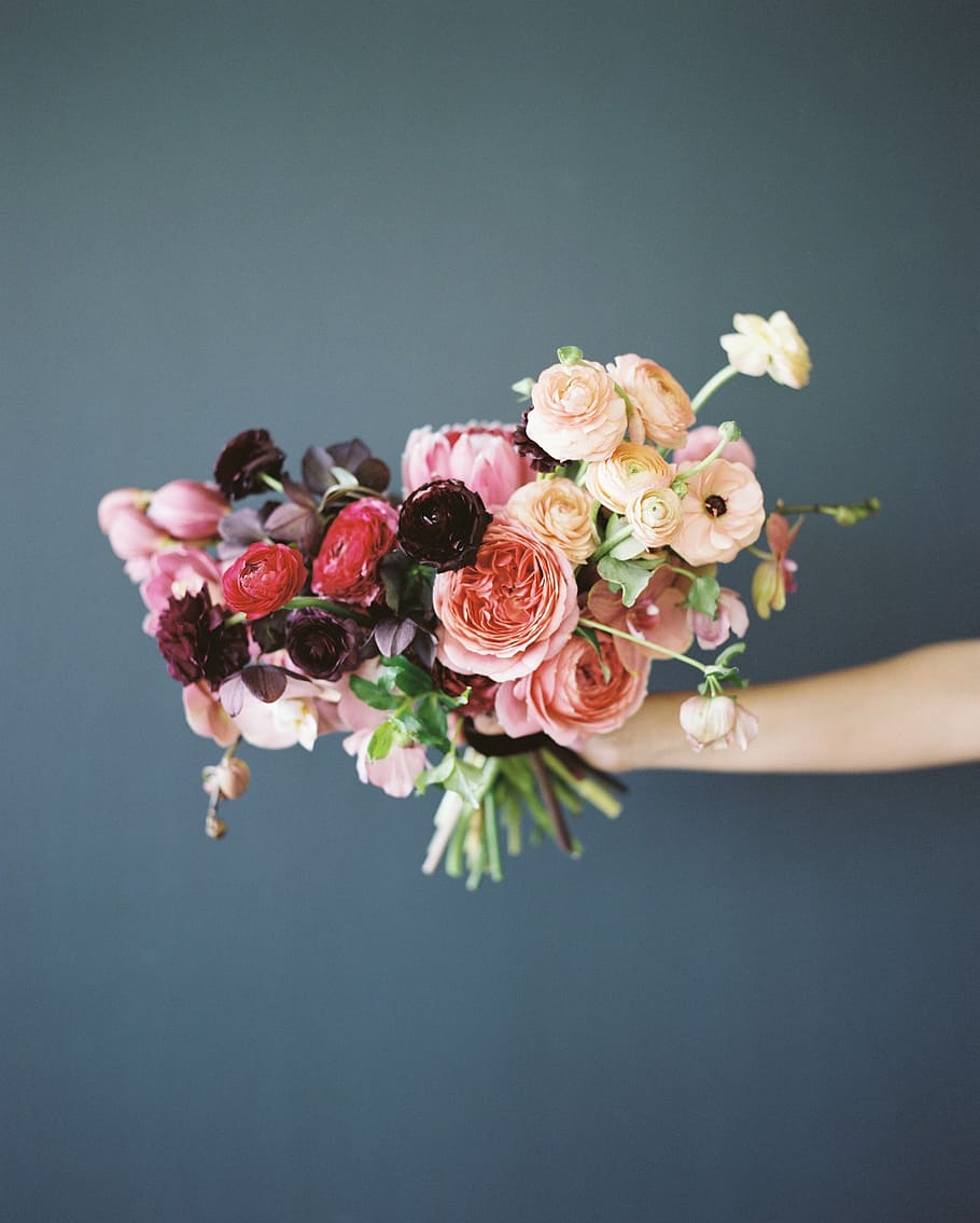 person holding assorted-color flowers, rose, bouquet, stem HD wallpaper