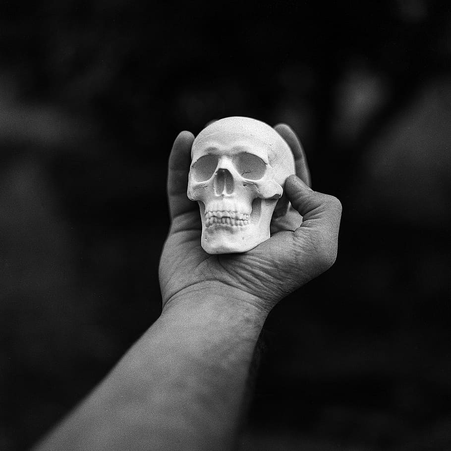 person holding human skull miniature, hand, dead, grunge, bones