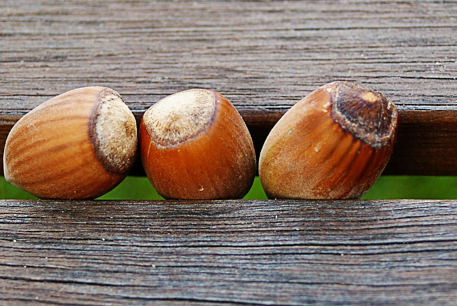 hazelnuts, wood, bench, september, wood - material, food, food and drink HD wallpaper