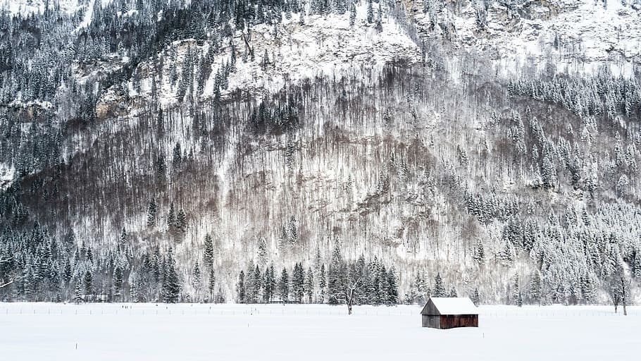 snow covered house near trees on the snowfield, mountain, highland HD wallpaper