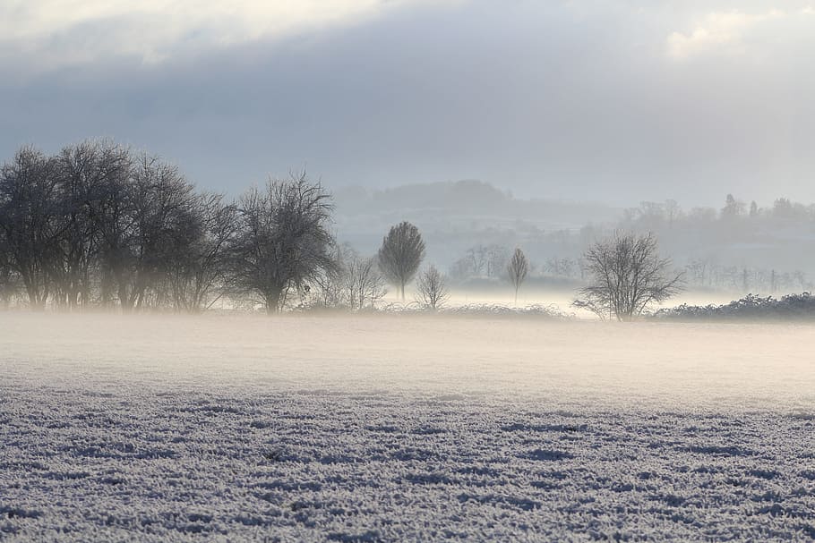 Wintry, Fog, Snow, Cold, Nature, Frost, haze, mystical, tranquility HD wallpaper