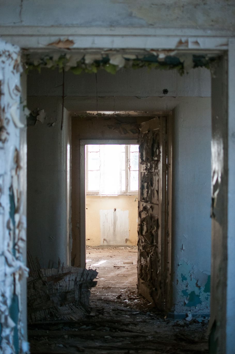 abandoned, architecture, door, window, house, building, indoors HD wallpaper
