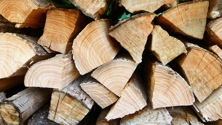 wood, log, tear down, cut, cup, sawn, logs, stere, heap, heating HD wallpaper