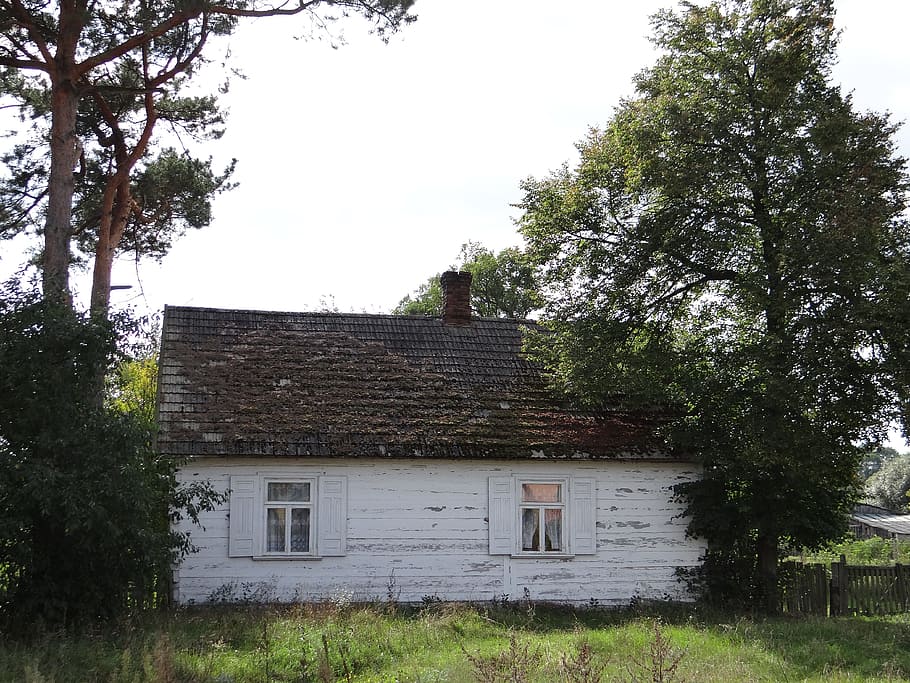 cottage, vesnice, rural architecture, ethnography, garden, wooden cottage HD wallpaper