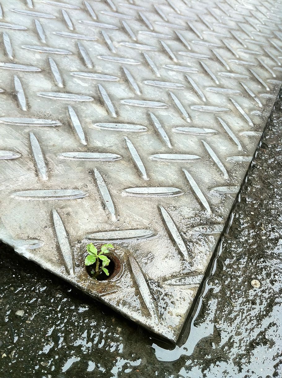 Flooring, Strong, 韌, Life, It'S Raining, strong 韌, i manage HD wallpaper