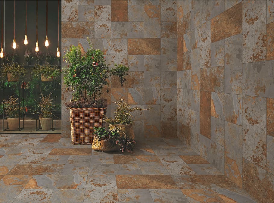green potted plant, simpolo, india, morbi, tiles, ceramics HD wallpaper