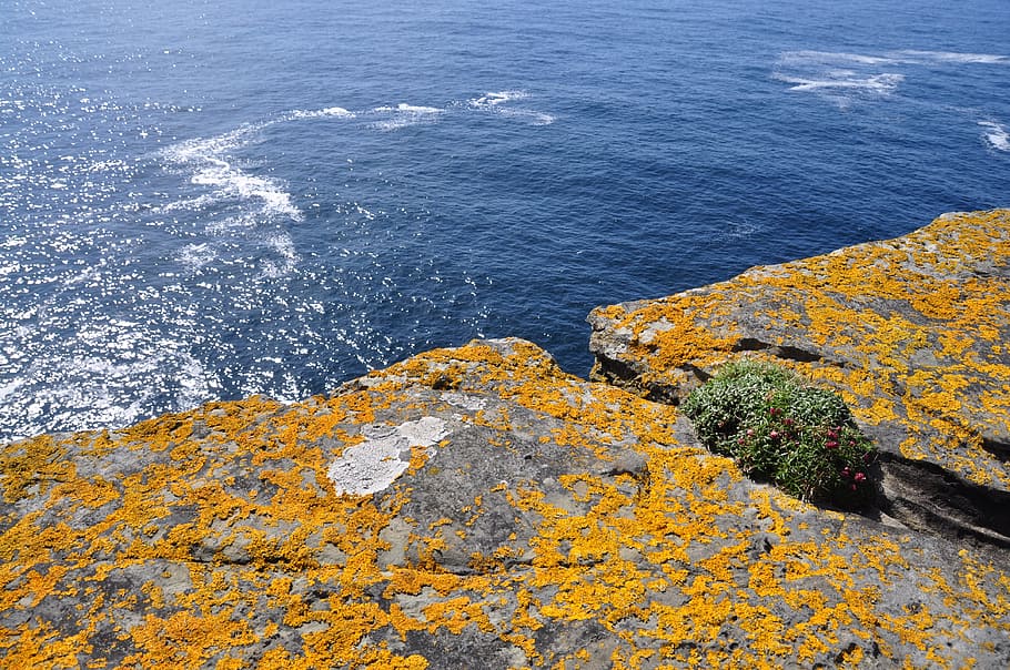 nature, sea, seashore, water, landscape, high angle view, day HD wallpaper