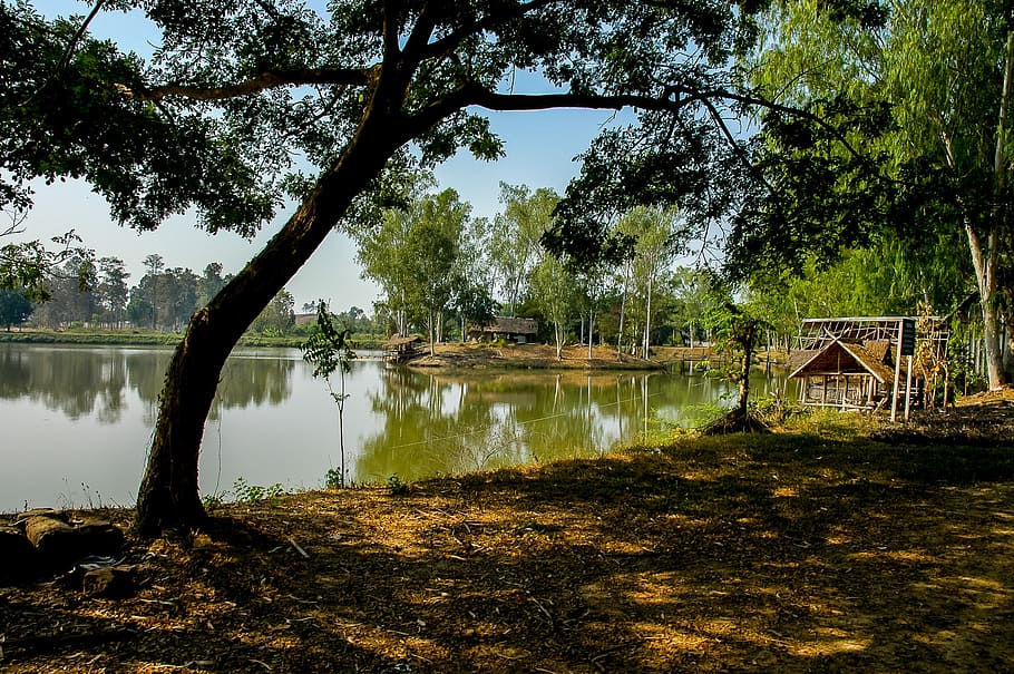 landscape, lake, trees, bank, water, plant, reflection, tranquility HD wallpaper