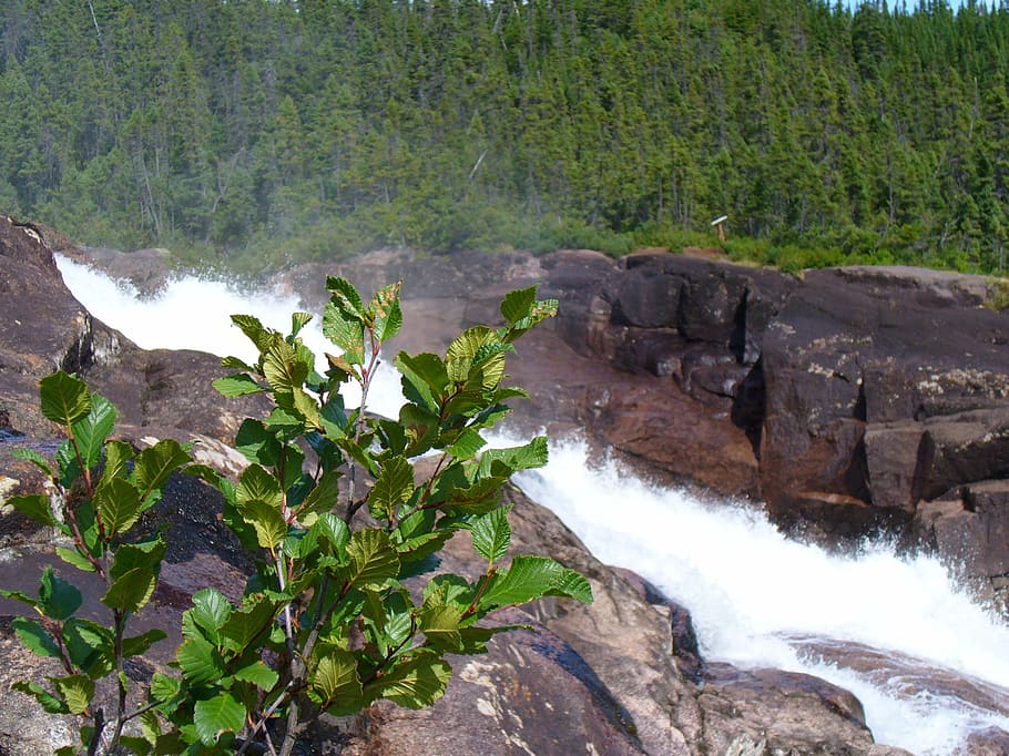 fast, water, landscape, waterfall, river, nature, summer, current HD wallpaper