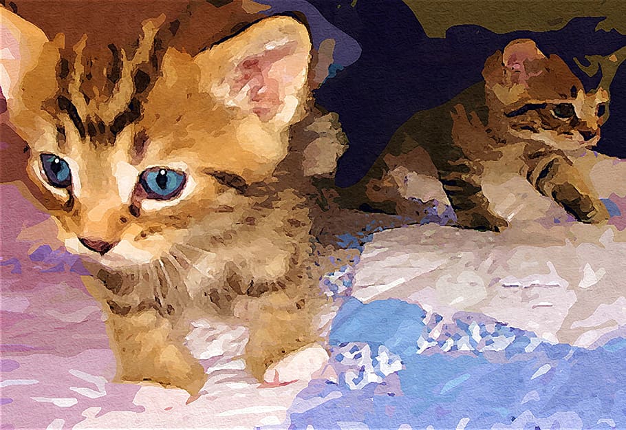 painting of two grey kittens, cat, baby, face, cute, close-up HD wallpaper