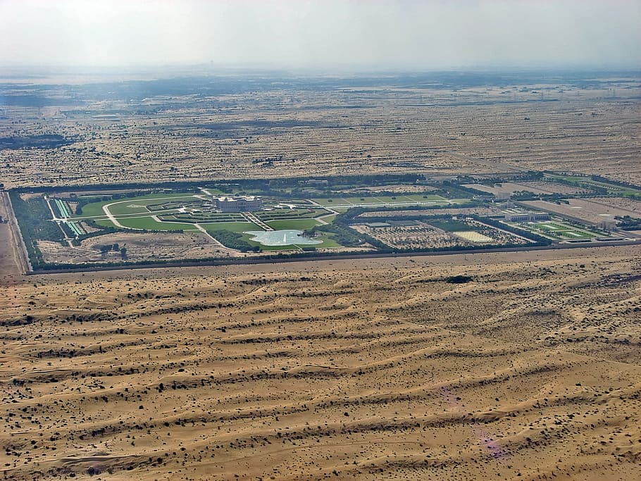 plant, nature, live, agriculture, farm, field, land, aerial View HD wallpaper