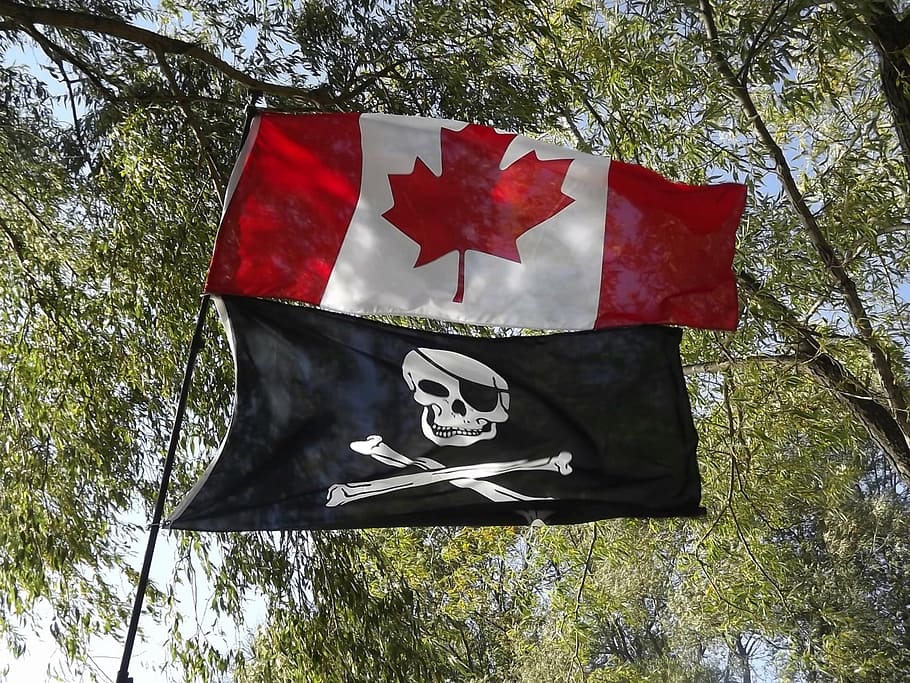 flag, canadian, pirate, tree, patriotism, plant, low angle view HD wallpaper