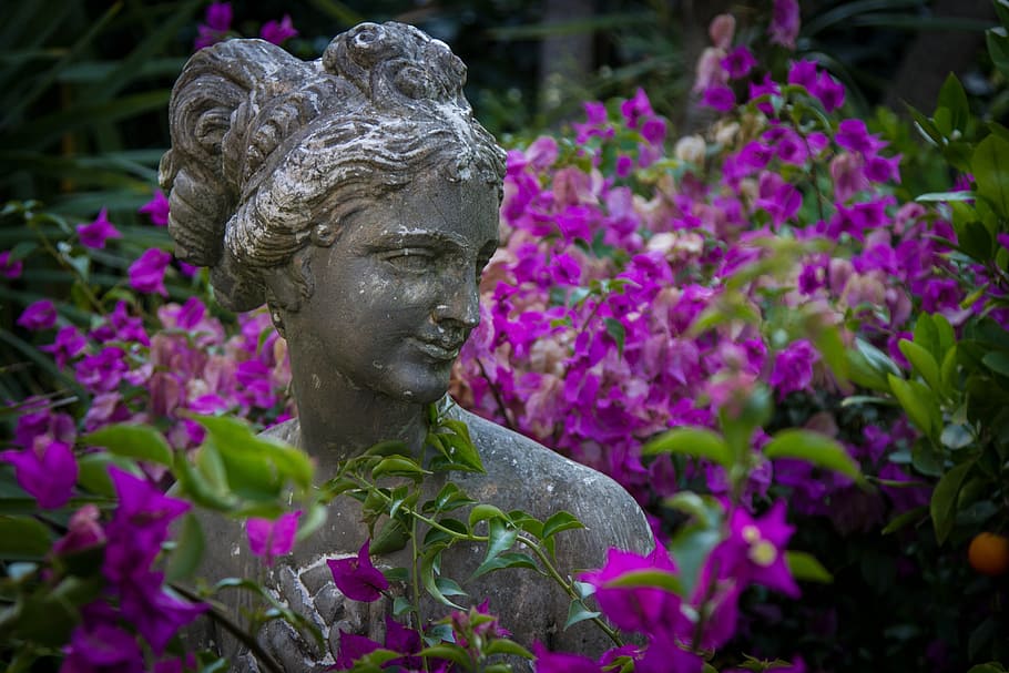 Statue, Flowers, Garden, Plant, Woman, sculpture, purple, focus on foreground HD wallpaper