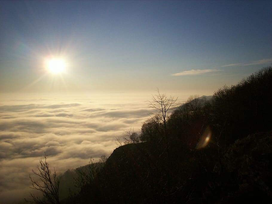inversion, tar stone, beech hg, forest, fog, cloud, nature HD wallpaper