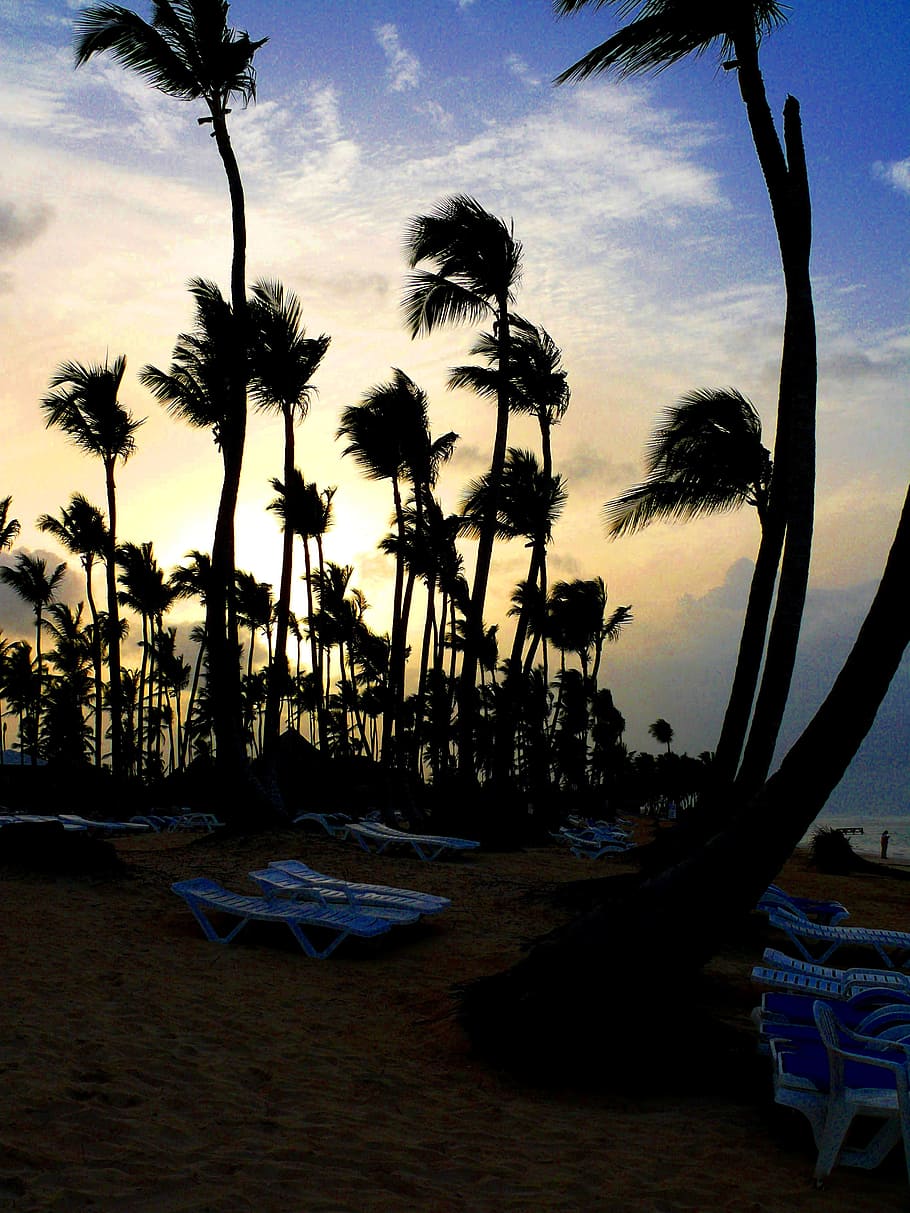 Beach, Evening, Sun, Holiday, Dominican, republic, alto, suites HD wallpaper