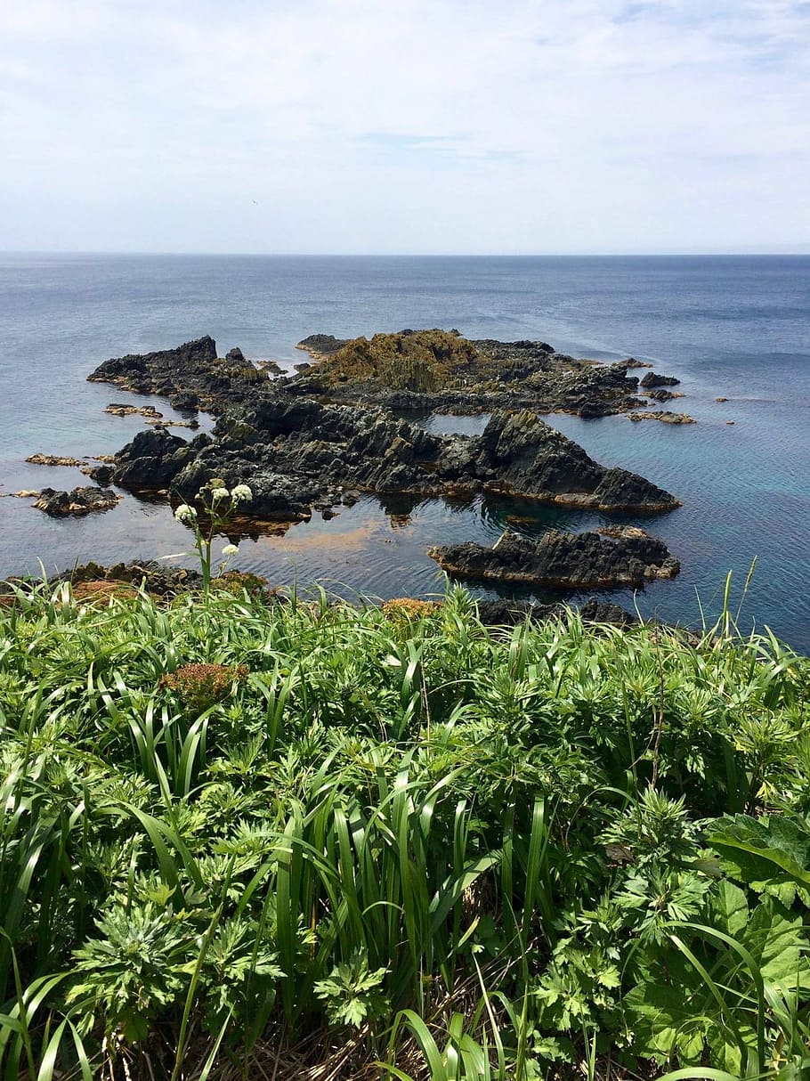 it, chenghai cape, natural, sea, water, plant, beauty in nature HD wallpaper
