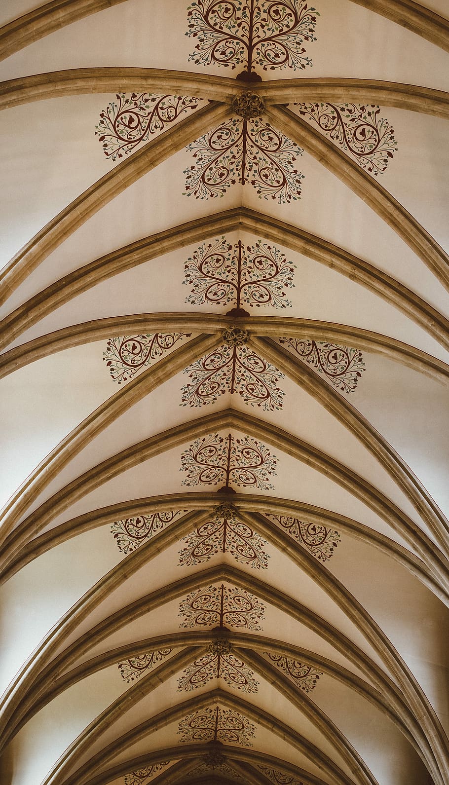 Wells Cathedral, photo brown and white floral roof, pattern, low angle view HD wallpaper